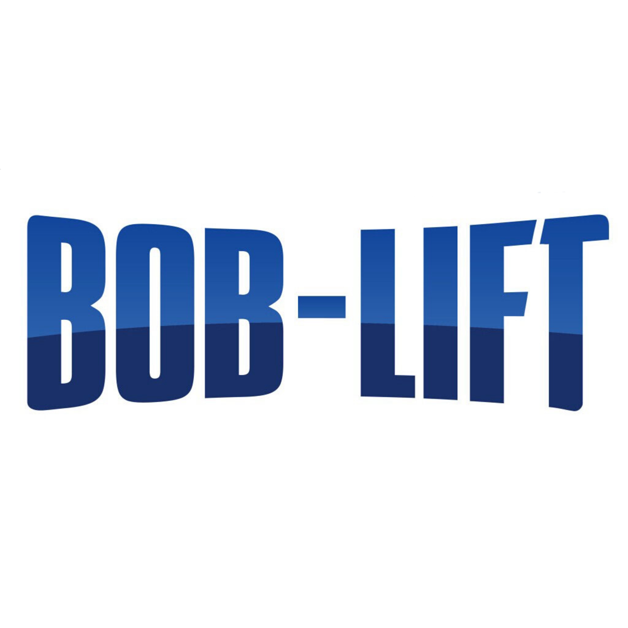 La force parle plus que les mots : pourquoi BOB-LIFT est hautement favorisé à la Foire de Canton